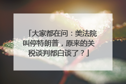 大家都在问：美法院叫停特朗普，原来的关税谈判都白谈了？