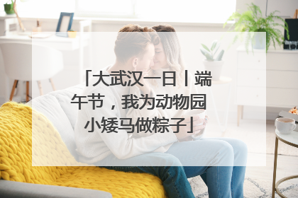 大武汉一日丨端午节，我为动物园小矮马做粽子
