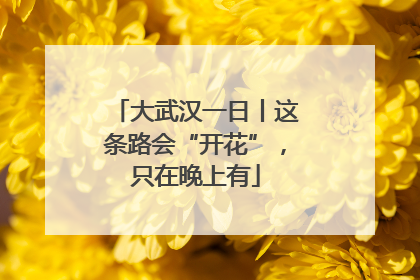 大武汉一日丨这条路会“开花”，只在晚上有
