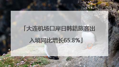 大连机场口岸日韩籍旅客出入境同比增长65.8%