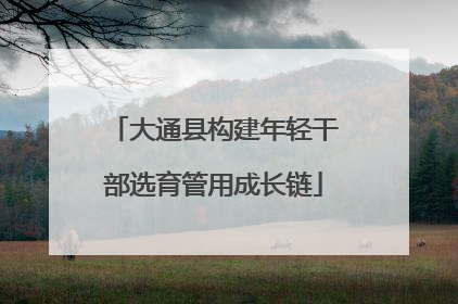 大通县构建年轻干部选育管用成长链
