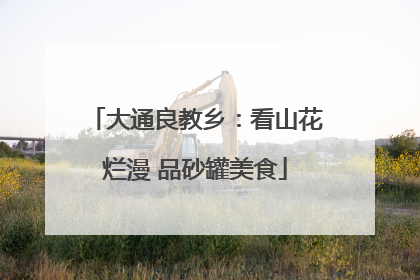 大通良教乡：看山花烂漫 品砂罐美食