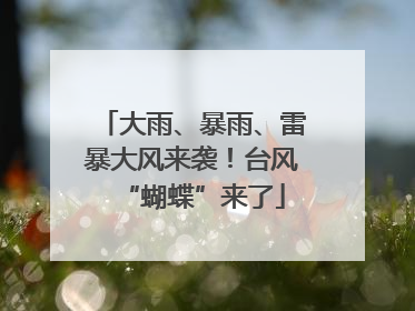 大雨、暴雨、雷暴大风来袭！台风“蝴蝶”来了