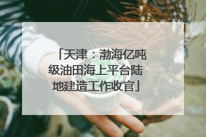 天津：渤海亿吨级油田海上平台陆地建造工作收官