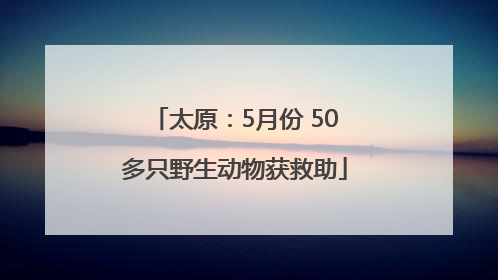 太原：5月份 50多只野生动物获救助