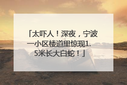 太吓人！深夜，宁波一小区楼道里惊现1.5米长大白蛇！