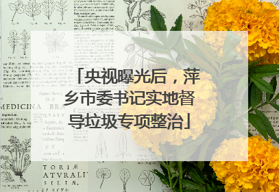 央视曝光后，萍乡市委书记实地督导垃圾专项整治