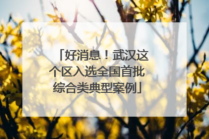 好消息！武汉这个区入选全国首批综合类典型案例