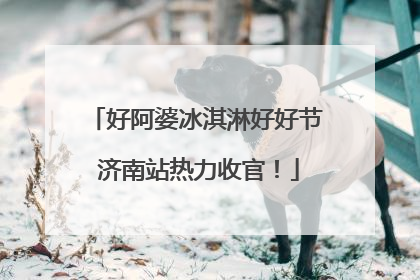 好阿婆冰淇淋好好节 济南站热力收官！