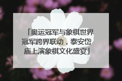 奥运冠军与象棋世界冠军跨界联动，泰安岱庙上演象棋文化盛宴