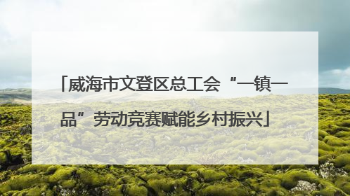 威海市文登区总工会“一镇一品”劳动竞赛赋能乡村振兴
