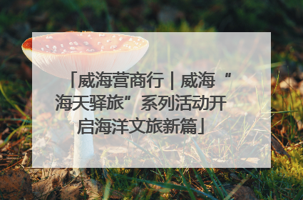 威海营商行｜威海“海天驿旅”系列活动开启海洋文旅新篇