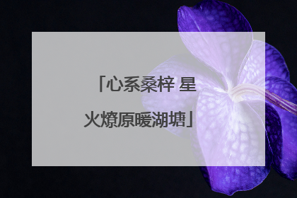 心系桑梓 星火燎原暖湖塘