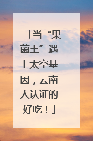 当“果菌王”遇上太空基因，云南人认证的好吃！