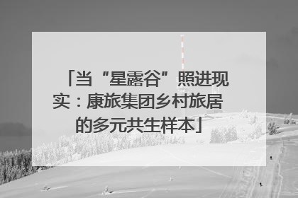 当“星露谷”照进现实：康旅集团乡村旅居的多元共生样本