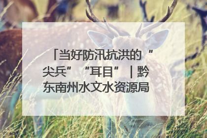 当好防汛抗洪的“尖兵”“耳目”｜黔东南州水文水资源局全员出动为此轮强降雨做好测报工作