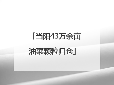 当阳43万余亩油菜颗粒归仓