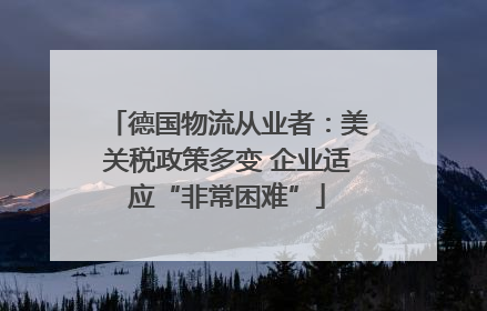 德国物流从业者：美关税政策多变 企业适应“非常困难”