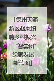 德州天衢新区赵虎镇聘乡村振兴“智囊团” 绘就发展新蓝图