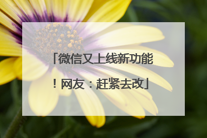 微信又上线新功能！网友：赶紧去改