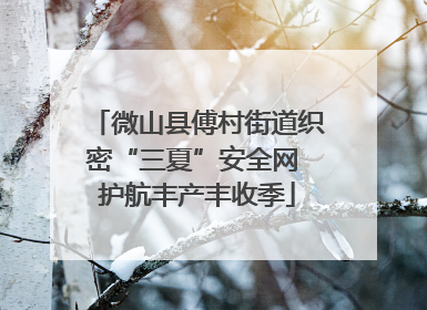 微山县傅村街道织密“三夏”安全网 护航丰产丰收季