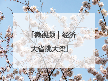 微视频｜经济大省挑大梁