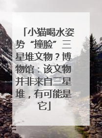 小猫喝水姿势“撞脸”三星堆文物？博物馆：该文物并非来自三星堆，有可能是它