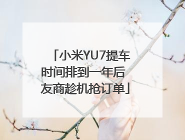 小米YU7提车时间排到一年后 友商趁机抢订单