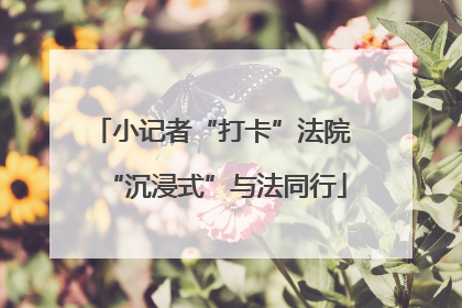 小记者“打卡”法院 “沉浸式”与法同行