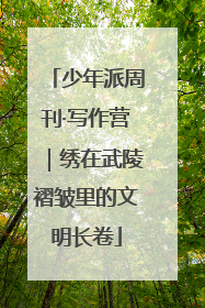 少年派周刊·写作营｜绣在武陵褶皱里的文明长卷