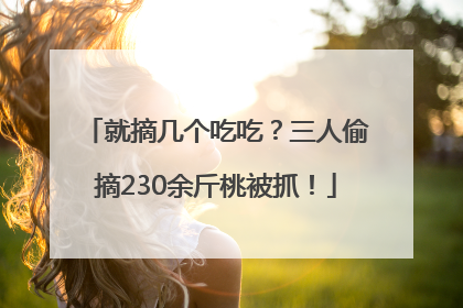 就摘几个吃吃？三人偷摘230余斤桃被抓！