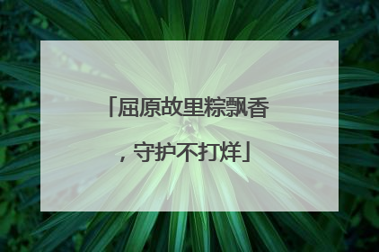 屈原故里粽飘香，守护不打烊