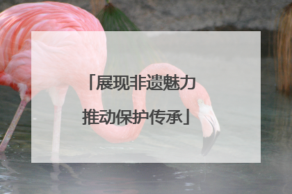 展现非遗魅力 推动保护传承