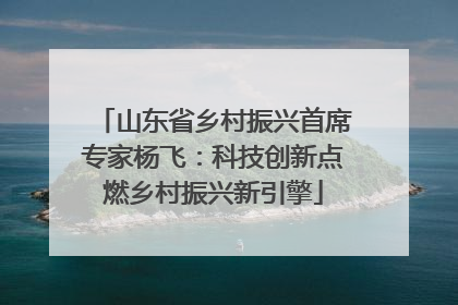 山东省乡村振兴首席专家杨飞：科技创新点燃乡村振兴新引擎