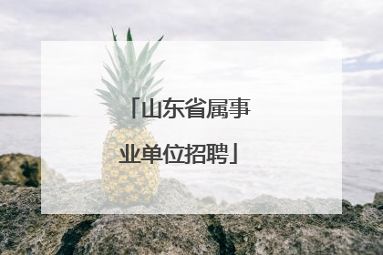 山东省属事业单位招聘