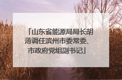 山东省能源局局长胡薄调任滨州市委常委、市政府党组副书记