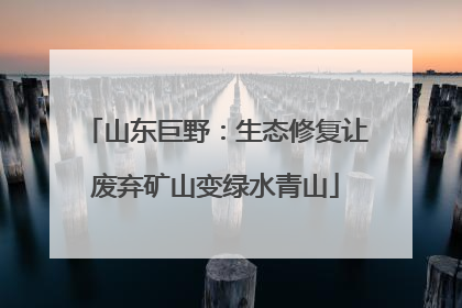 山东巨野：生态修复让废弃矿山变绿水青山