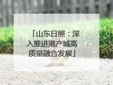 山东日照：深入推进港产城高质量融合发展