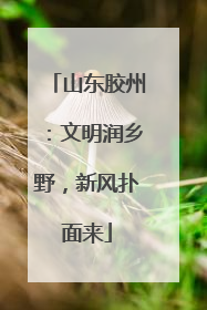 山东胶州：文明润乡野，新风扑面来