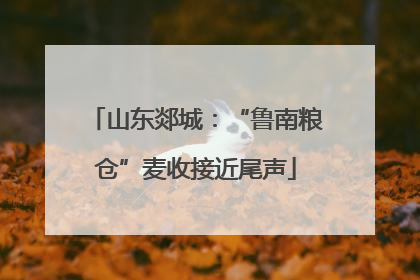 山东郯城：“鲁南粮仓”麦收接近尾声