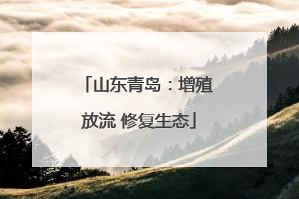 山东青岛：增殖放流 修复生态