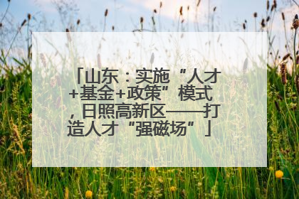 山东：实施“人才+基金+政策”模式，日照高新区——打造人才“强磁场”
