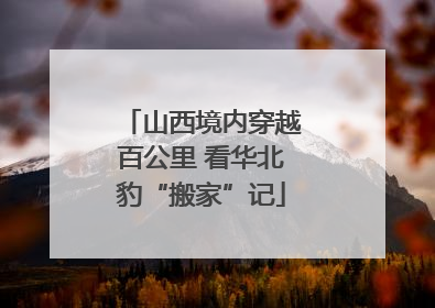 山西境内穿越百公里 看华北豹“搬家”记