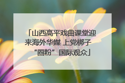 山西高平戏曲课堂迎来海外华媒 上党梆子“圈粉”国际观众
