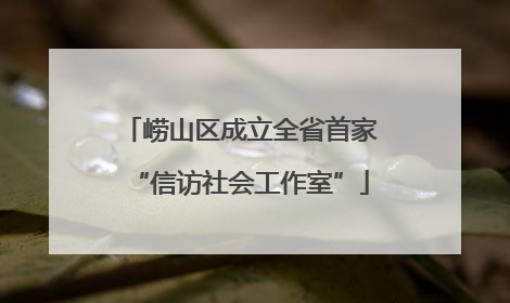崂山区成立全省首家“信访社会工作室”