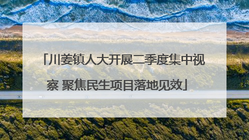 川姜镇人大开展二季度集中视察 聚焦民生项目落地见效