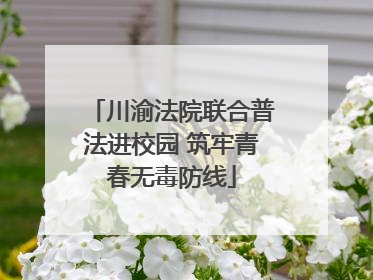 川渝法院联合普法进校园 筑牢青春无毒防线