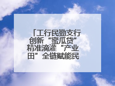 工行民勤支行创新“蜜瓜贷”精准滴灌“产业田”全链赋能民勤乡村振兴