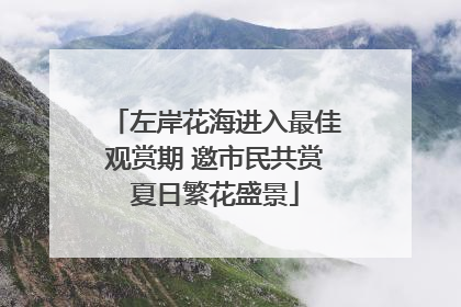 左岸花海进入最佳观赏期 邀市民共赏夏日繁花盛景