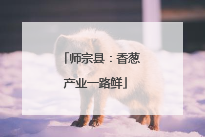 师宗县：香葱产业一路鲜